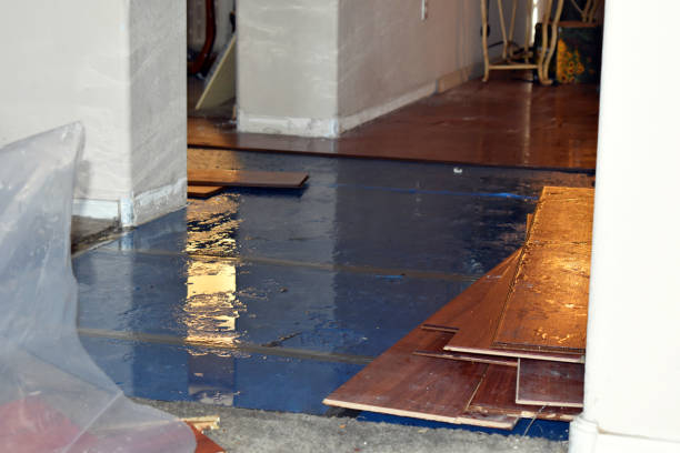 Professional Flood Cleanup technician working in Hubbardston, MI