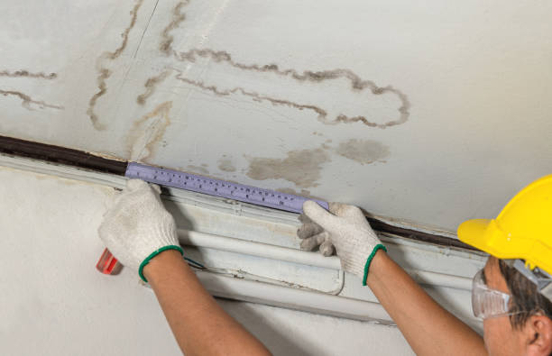 Reliable Flood Cleanup contractor in Hubbardston, MI by Water Damage Irwin